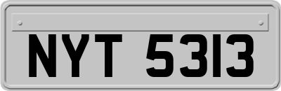 NYT5313