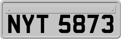 NYT5873