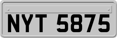 NYT5875