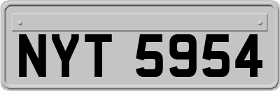 NYT5954
