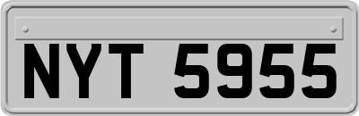 NYT5955