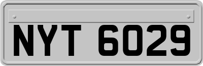 NYT6029