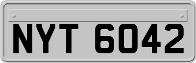 NYT6042