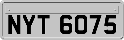 NYT6075