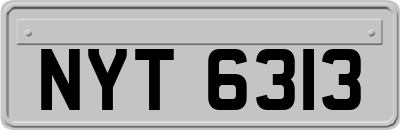 NYT6313