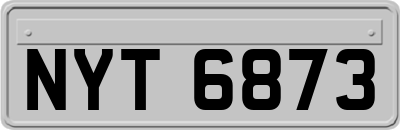 NYT6873
