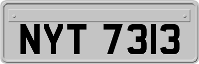 NYT7313