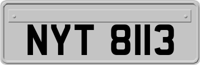 NYT8113