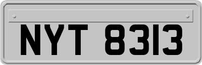NYT8313