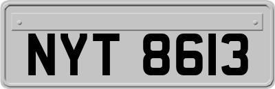NYT8613