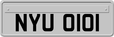 NYU0101