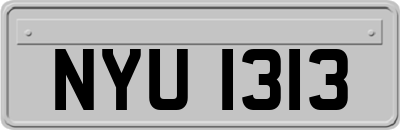 NYU1313