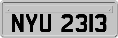 NYU2313