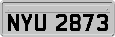 NYU2873