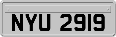 NYU2919