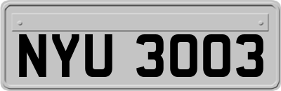 NYU3003