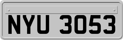 NYU3053