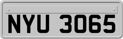 NYU3065