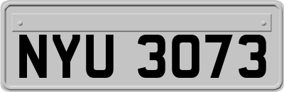 NYU3073