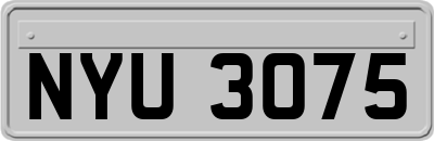 NYU3075