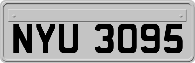 NYU3095