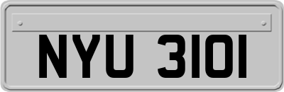 NYU3101