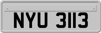 NYU3113