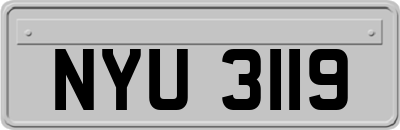 NYU3119
