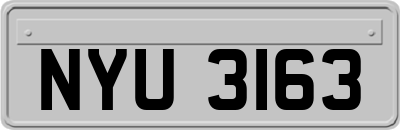 NYU3163