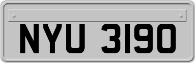 NYU3190