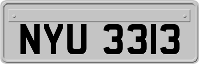 NYU3313