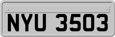 NYU3503