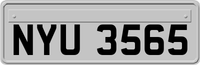 NYU3565