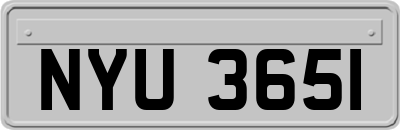 NYU3651