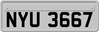 NYU3667