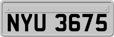 NYU3675