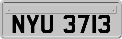 NYU3713