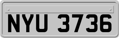 NYU3736