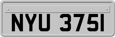 NYU3751