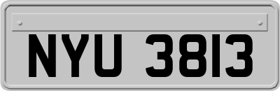 NYU3813