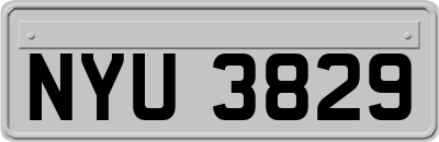 NYU3829