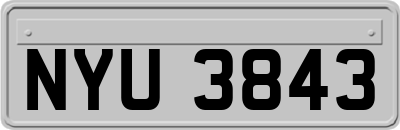 NYU3843