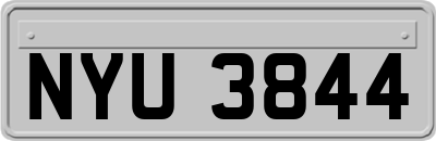 NYU3844