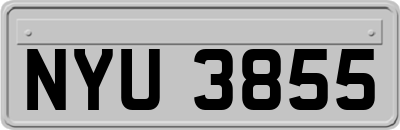 NYU3855