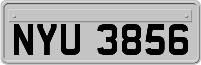 NYU3856