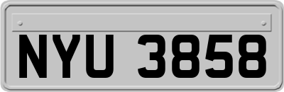 NYU3858