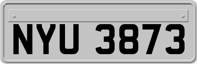 NYU3873