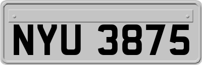 NYU3875