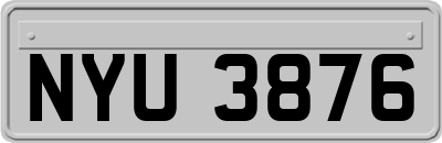 NYU3876