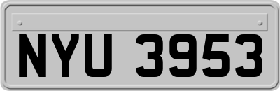NYU3953
